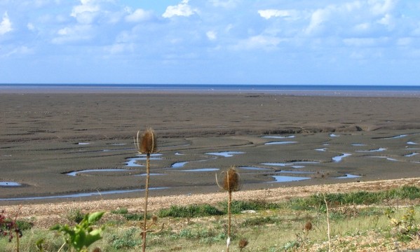 lowtide.jpg