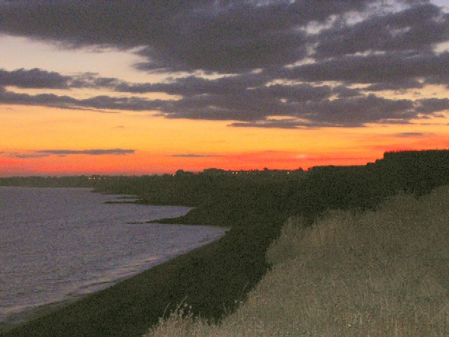 353R.jpg