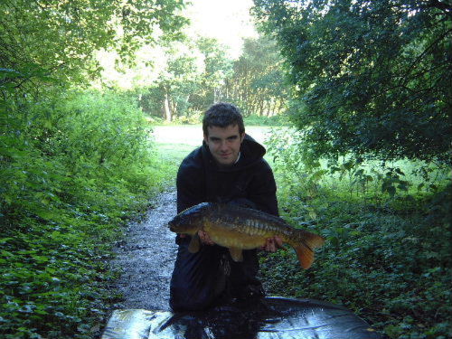An early morning carp