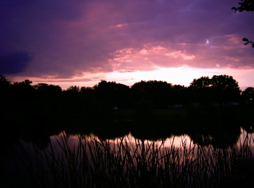 A nice sunset