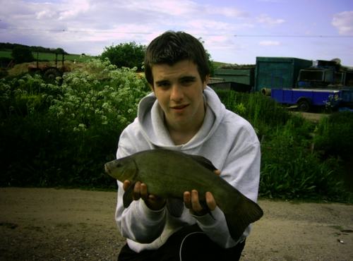 A nice tench
