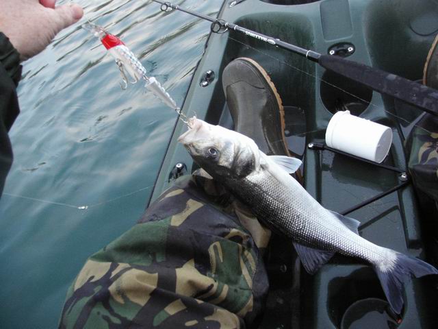 wrong pic-different day(all bass in these pics were returned