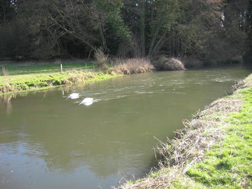 Itchen 1