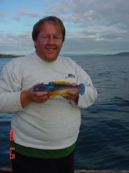 Lochaline
