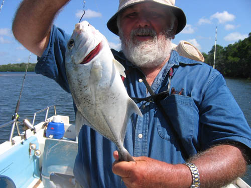 BrassyTrevally.jpg