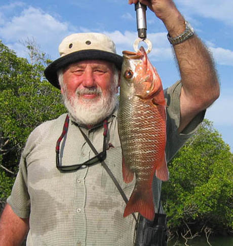 MangroveJack.jpg