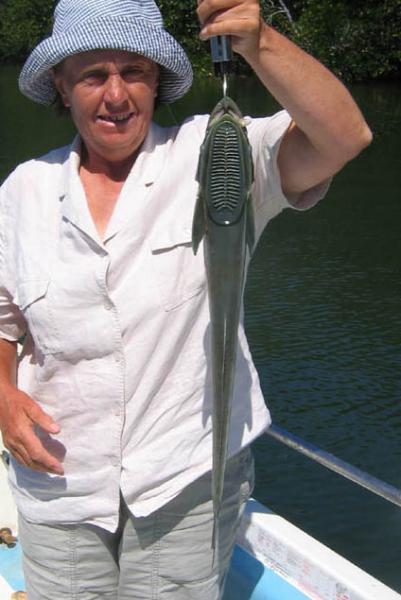 SlenderSuckerfish.jpg