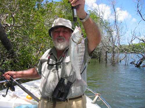 Javelinfish.jpg