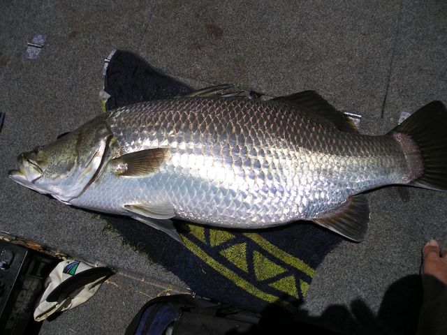 Big Barra