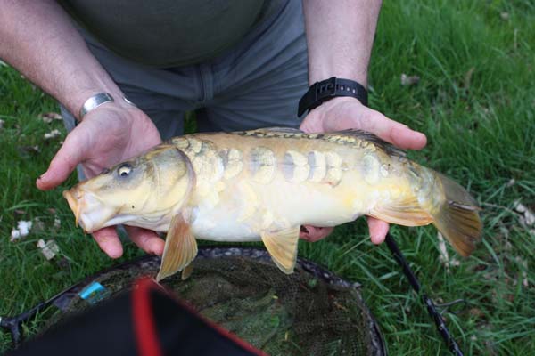 narborough fishing 002_1.jpg
