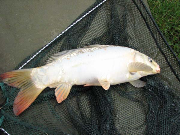 fishing 001 (7)_1.jpg
