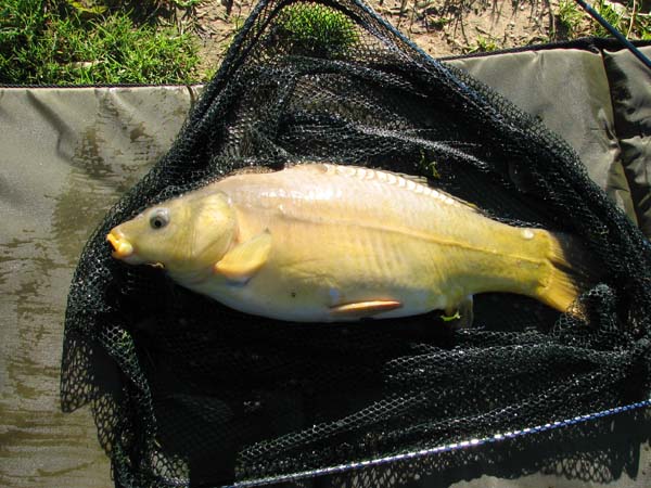 fishing 001 (10)_1.jpg