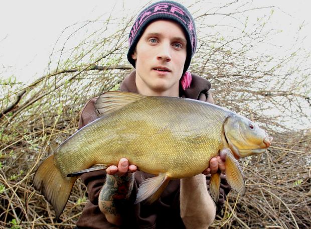 Tench 6,6 lbs 