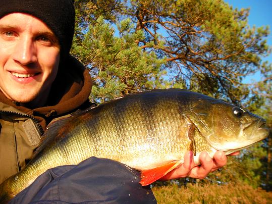 Perch 3,57 lbs 