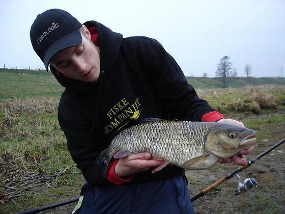Chub 5,9 lbs
