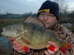 Ouse 4.10 perch.jpg