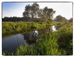 a small fen-drain in my area