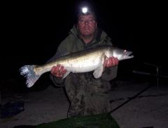 user3391_pic2373_1272218190[1].jpg