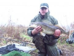 user3391_pic2038_1265731885[1].jpg
