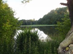 tingrithmanor2.jpg