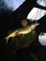 Christmas pike!