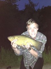 Tench