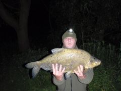 Bream