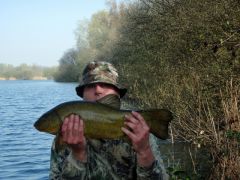 Tench