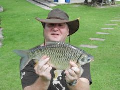 Java Barb