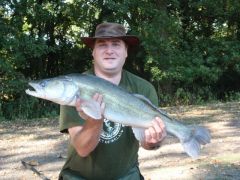 Zander 2 (640x480)