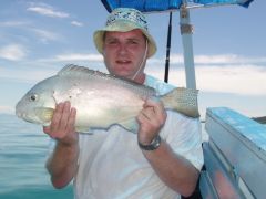 Snapper (640x480)