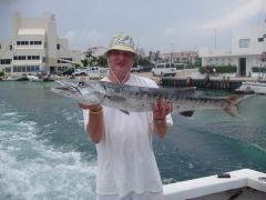 Barracuda