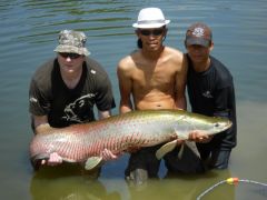 Arapaima (640x480)