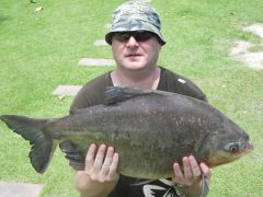 Pacu 2 (640x480)