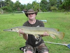Alligator Gar (640x480)