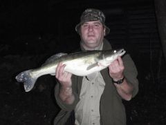 Zander