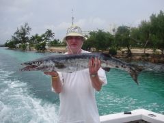 Barracuda