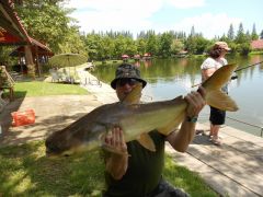 Mekong Catfish