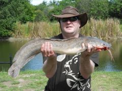 Batrichian Walking Catfish (640x480)