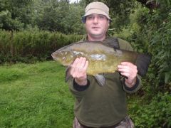 Tench