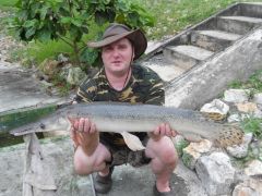 Alligator Gar
