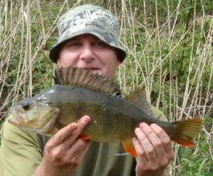 Perch (400x329)