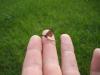 post-8161-1210589270_thumb.jpg