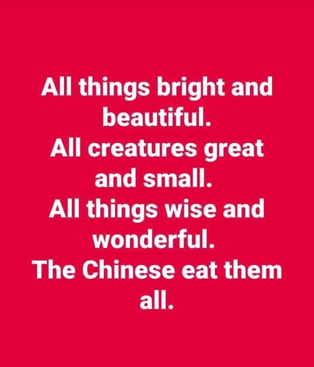 china.jpg
